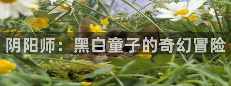 51漫画火影忍者：阴阳师：黑白童子的奇幻冒险