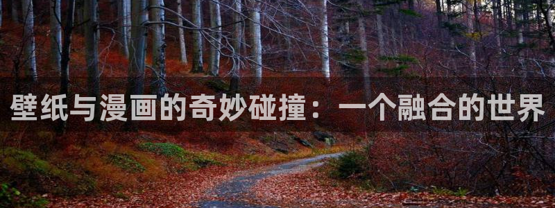 51漫画网页版：壁纸与漫画的奇妙碰撞：一个融合的世界